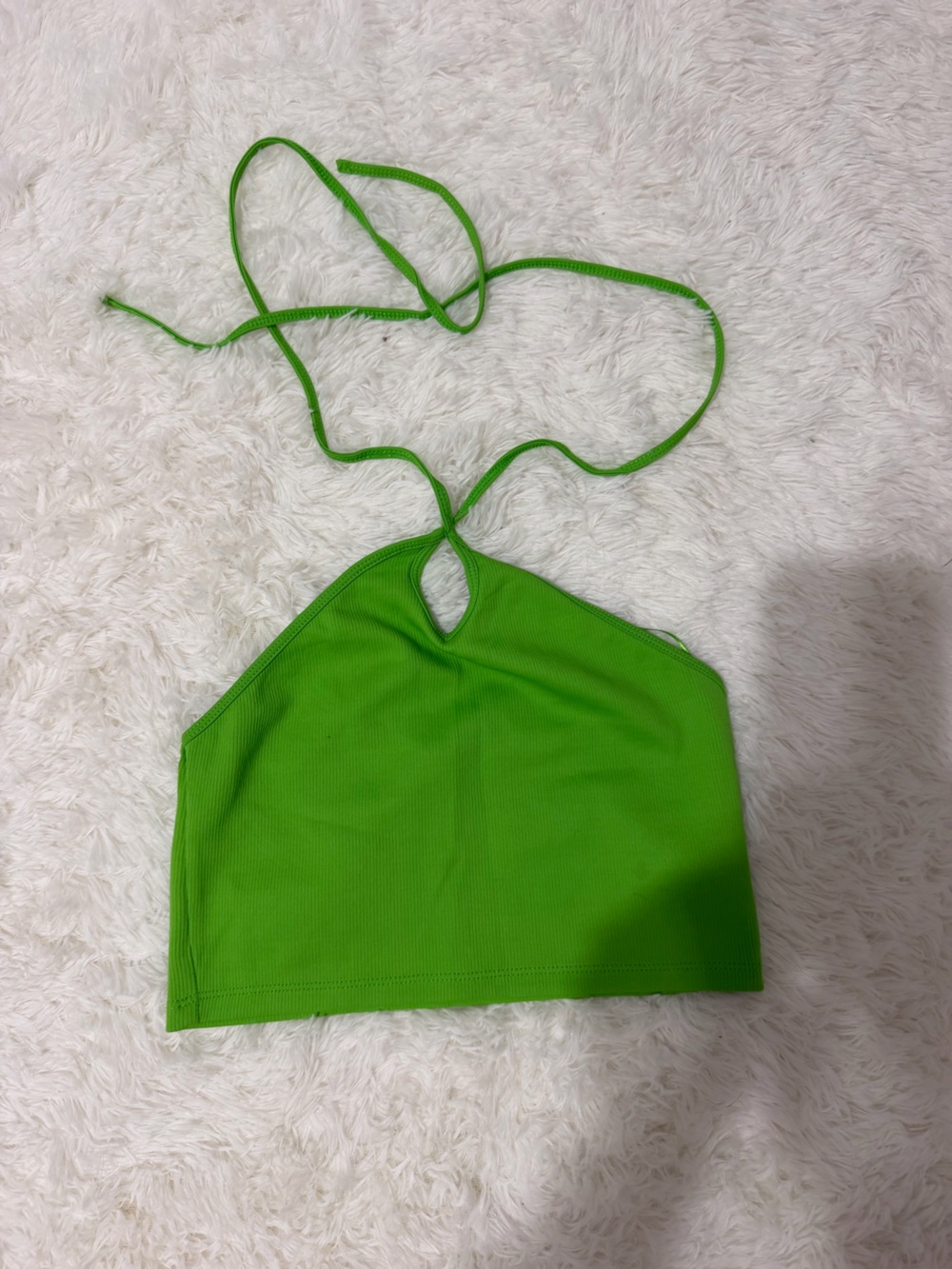 Zara Halter Crop Top